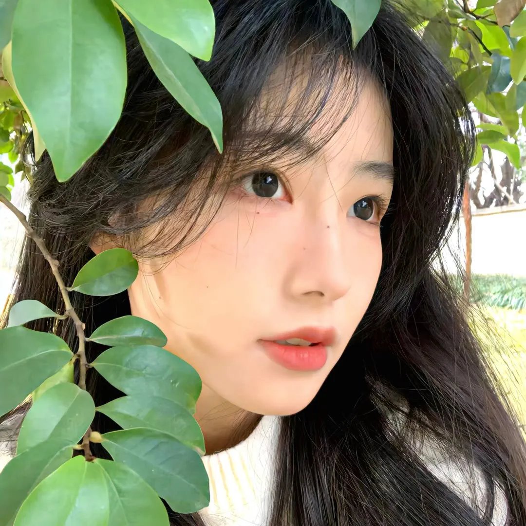 今年 高清封面