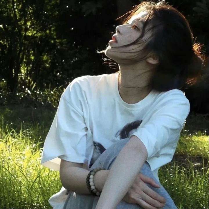 大秦腔 高清封面
